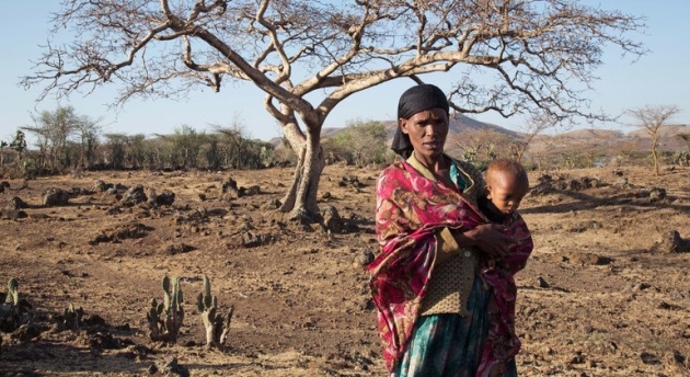 "La OMM confirma a un 80% la aparición de El Niño, que provocará fenómenos meteorológicos más extremos": ONU